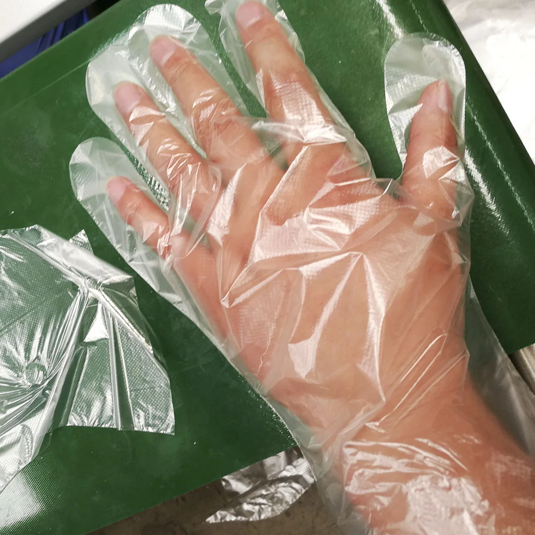PE Gloves